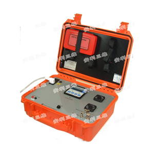 Z4010便携式氧气分析仪